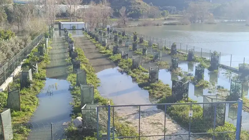 Irmak Taşınca Otoyol Şantiyesi Sular Altında Kaldı: Memlekette Yaşanan Felaket