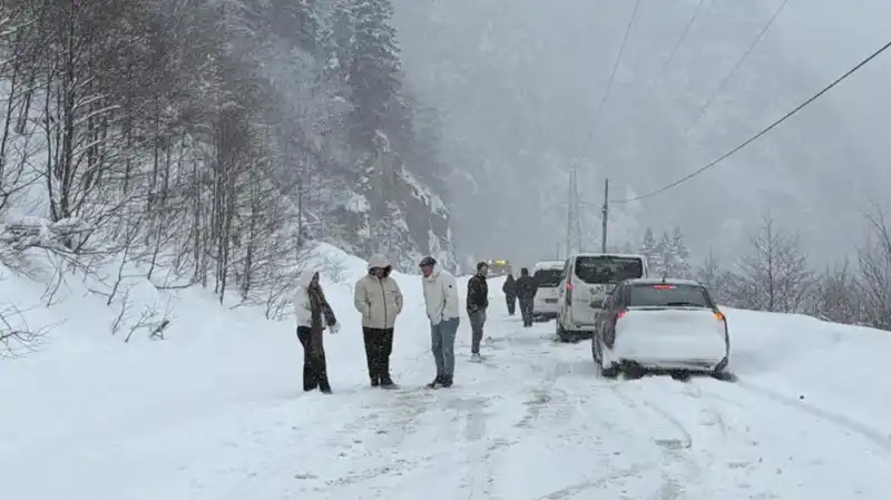 Trabzon'da Şok Edici Çığ Düşmesi: Karayolu Trafiğe Kapandı!