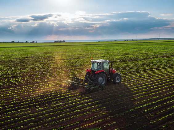 Ekonomik Büyüme, Tarımın Selameti İçin Neden Yeterli Değil?